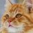 DATCAT