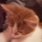 Kinchan