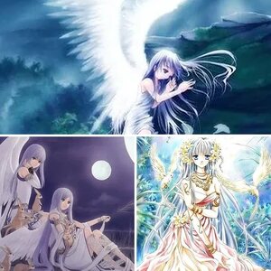 My Anime Photos