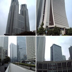 Beauties of Tokyo