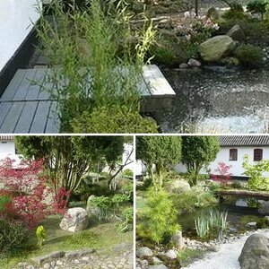 Private garden