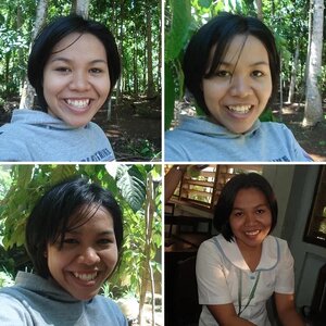 my pictures