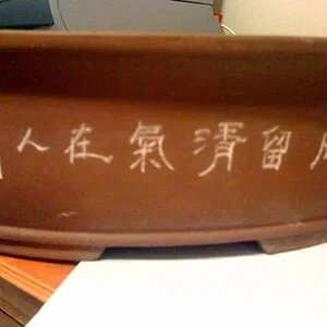 A plant pot