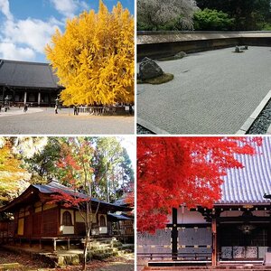 Impressions of Kyoto