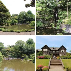 Kyu-Furukawa Gardens