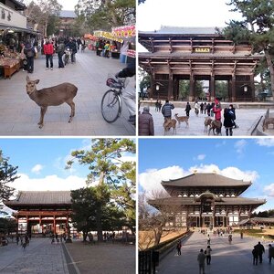 Todaiji Temple