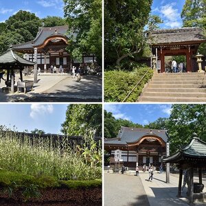 Jindaiji Area