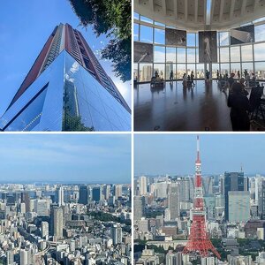 Mori Art Museum