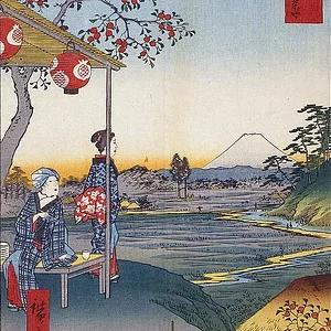 Fuji-8