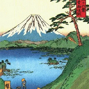 Fuji-9