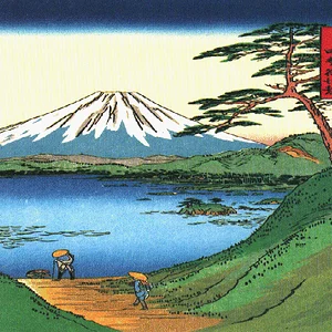 Fuji-10