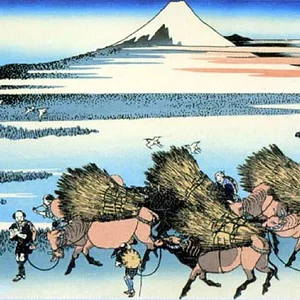 Fuji-13