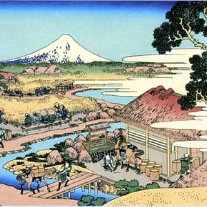Fuji-15