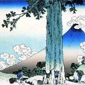 Fuji-31
