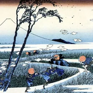 Fuji-36
