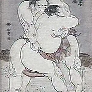 Sumo-2