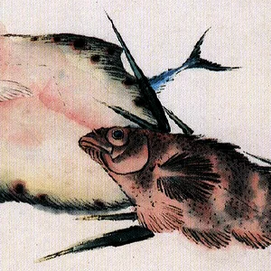 fish2