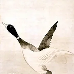 bird1