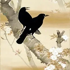 bird3