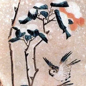 bird10