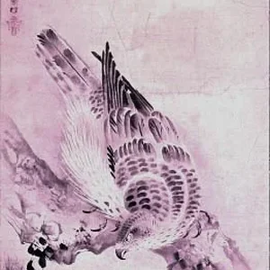 bird12