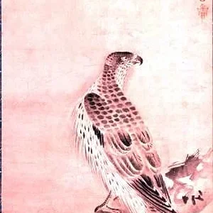 bird13