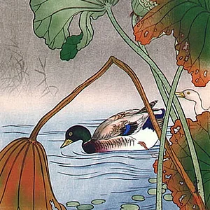 bird19