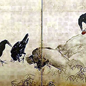 bird21