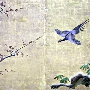 bird23