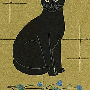 animal5