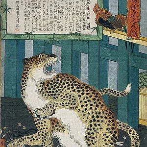 animal7