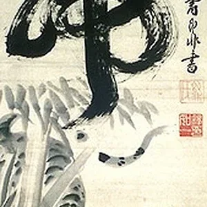 animal8