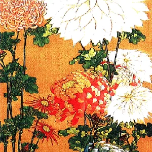 plant3