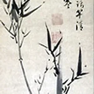 plant4