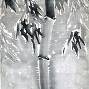 plant7