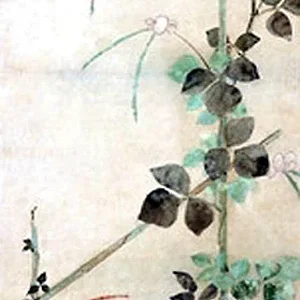 plant9