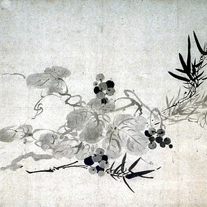 plant24