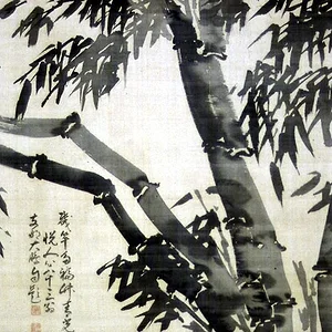 plant26