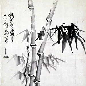 plants28