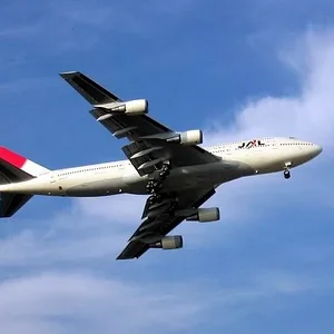JAL Jumbo