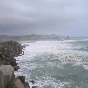 1_day_left_till_the_typhoon_hits_