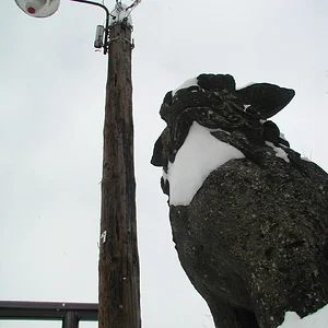 KOMAINU