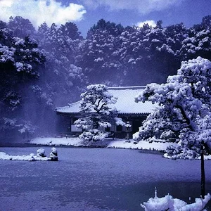 winterwonderland