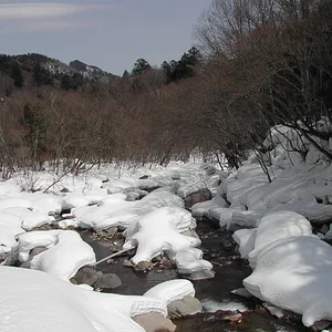 My_Nihon_530_