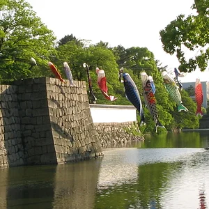 "Marugame castle" Koinobori - carp streamer