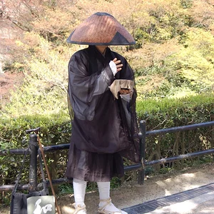 A Buddhist Monk