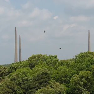 Hario Wireless Towers