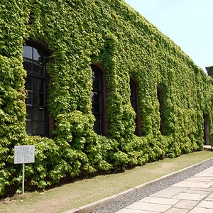 Ivy square Kurashiki