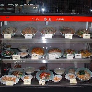Tokyo - Shinjuku st. - Plastic Food