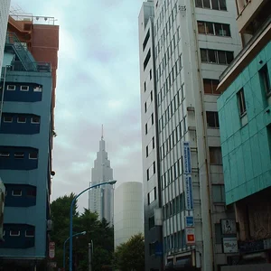 Tokyo - Shinjuku st.